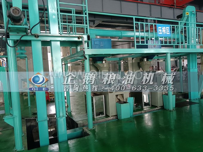 企鵝牌核桃油榨油設備，生產綠色健康油受大眾喜愛(圖4)