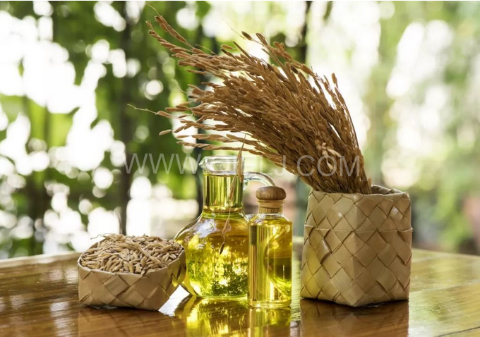 米糠油精煉設備，企鵝機械不斷創新提升工藝效果(圖1)